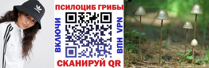 Псилоцибиновые грибы Psilocybine cubensis  мега маркетплейс  Правдинск 
